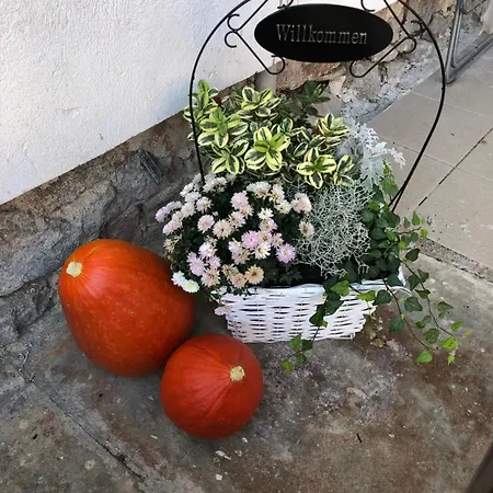 Gaestehaus Taschler Hof Sankt Georgen am Ybbsfelde